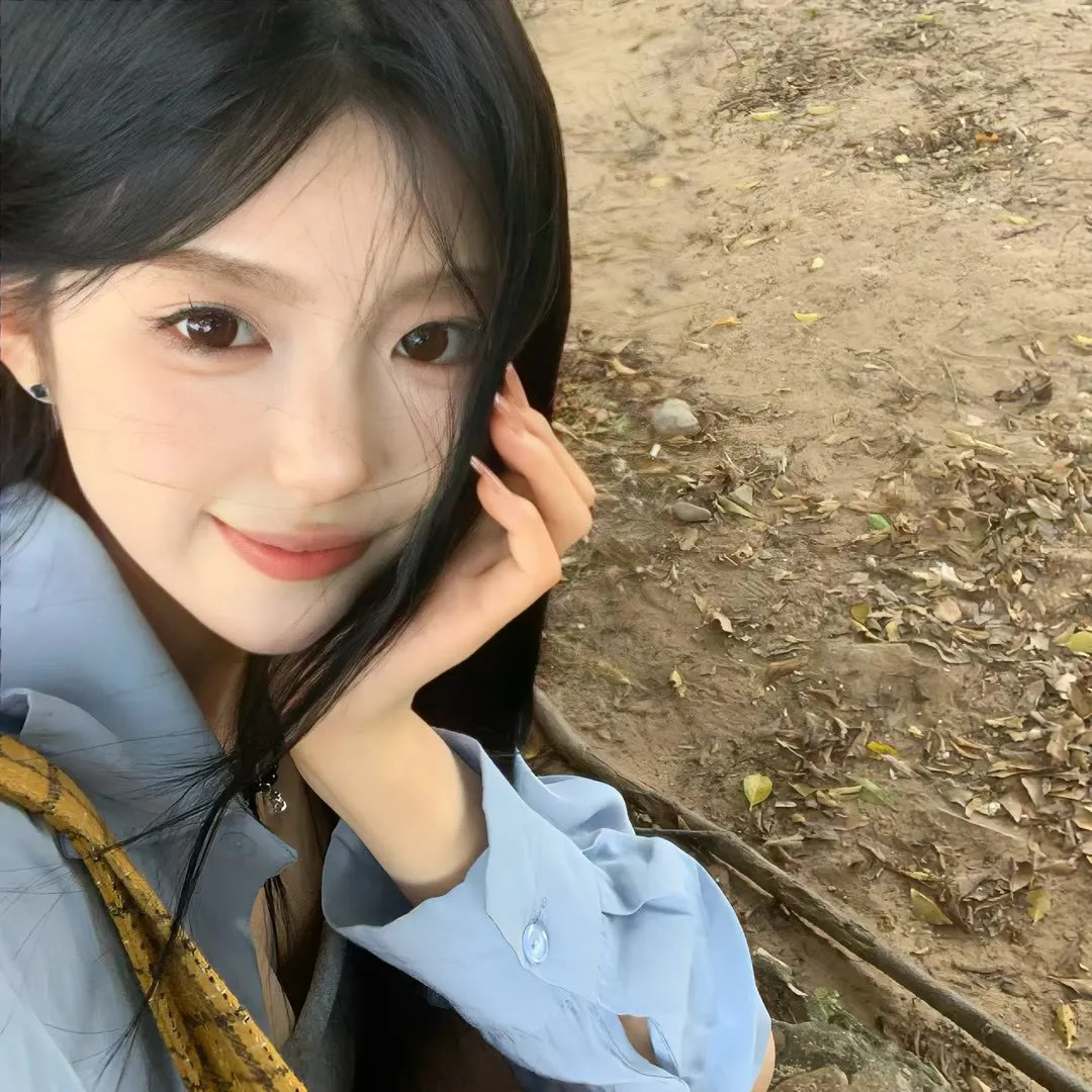 翱翔于天际的夜鹰