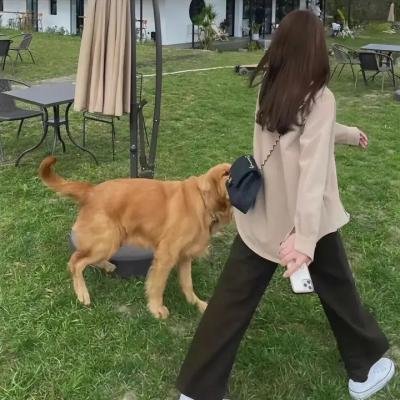 再见,妈妈